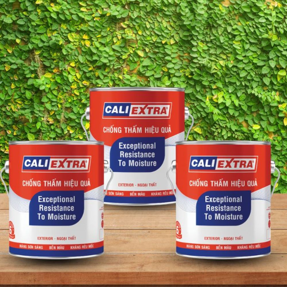 Vì Sao Nên Dùng Sơn Ngoại Thất Cali Extra Cho Nhà Mới Xây?
