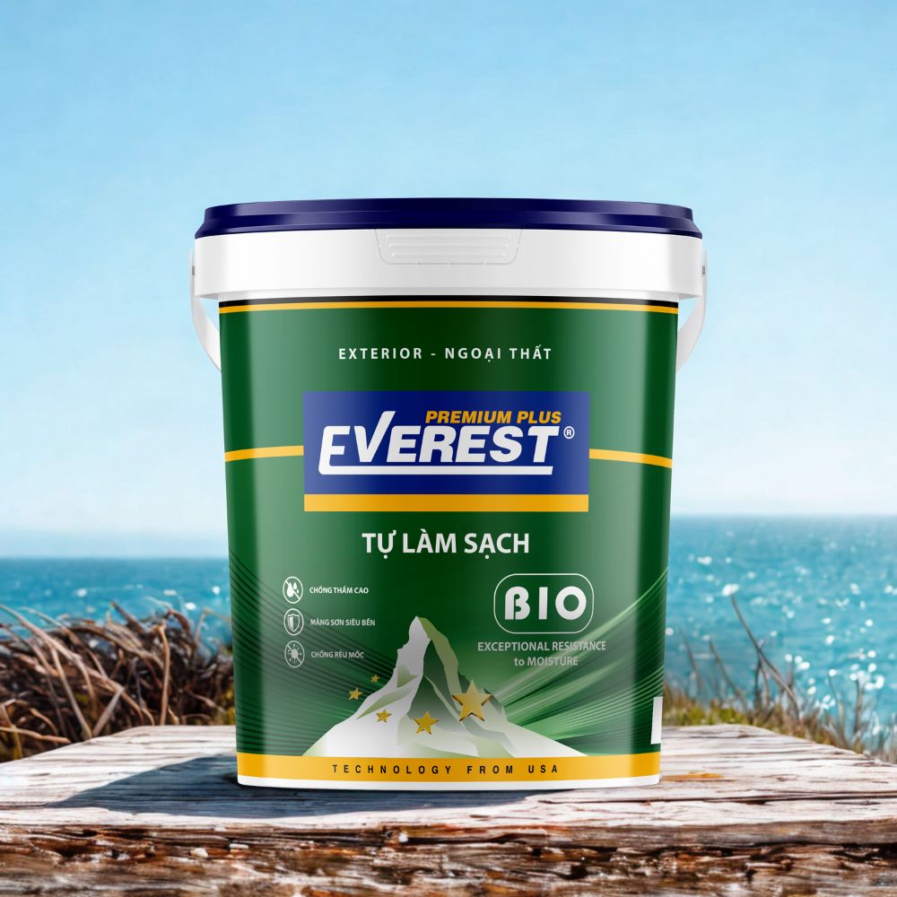 Chống Rêu Mốc: EVEREST PLUS Hay Sơn Lót Khác Tốt Hơn?