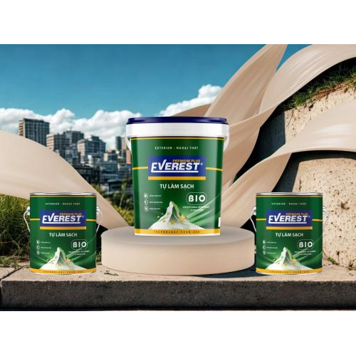 1. Giới thiệu về EVEREST PLUS