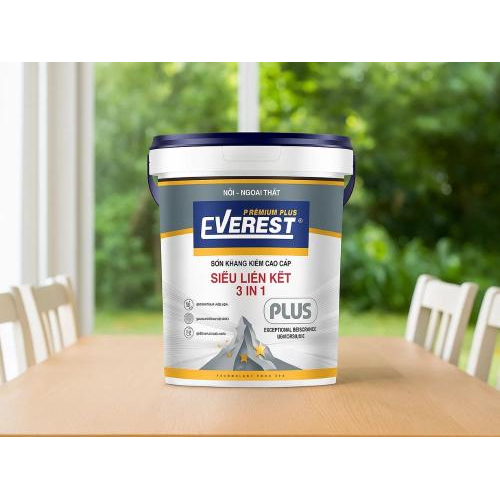 2. Quyết định chọn EVEREST PLUS
